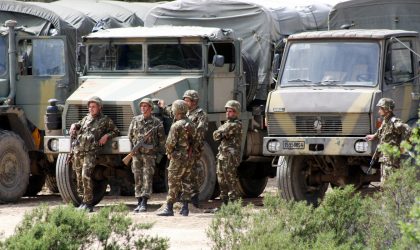 Concentrés à Bouira et Tizi-Ouzou : les terroristes essayent de réinvestir la Kabylie